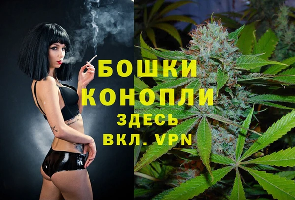 мет Арсеньев