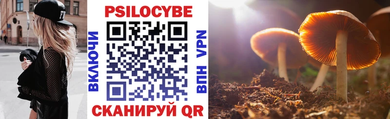 Галлюциногенные грибы Magic Shrooms  купить наркотик  Знаменск 